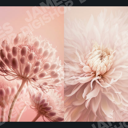 20 Soft Pink Floral Clouds Background Bundle
